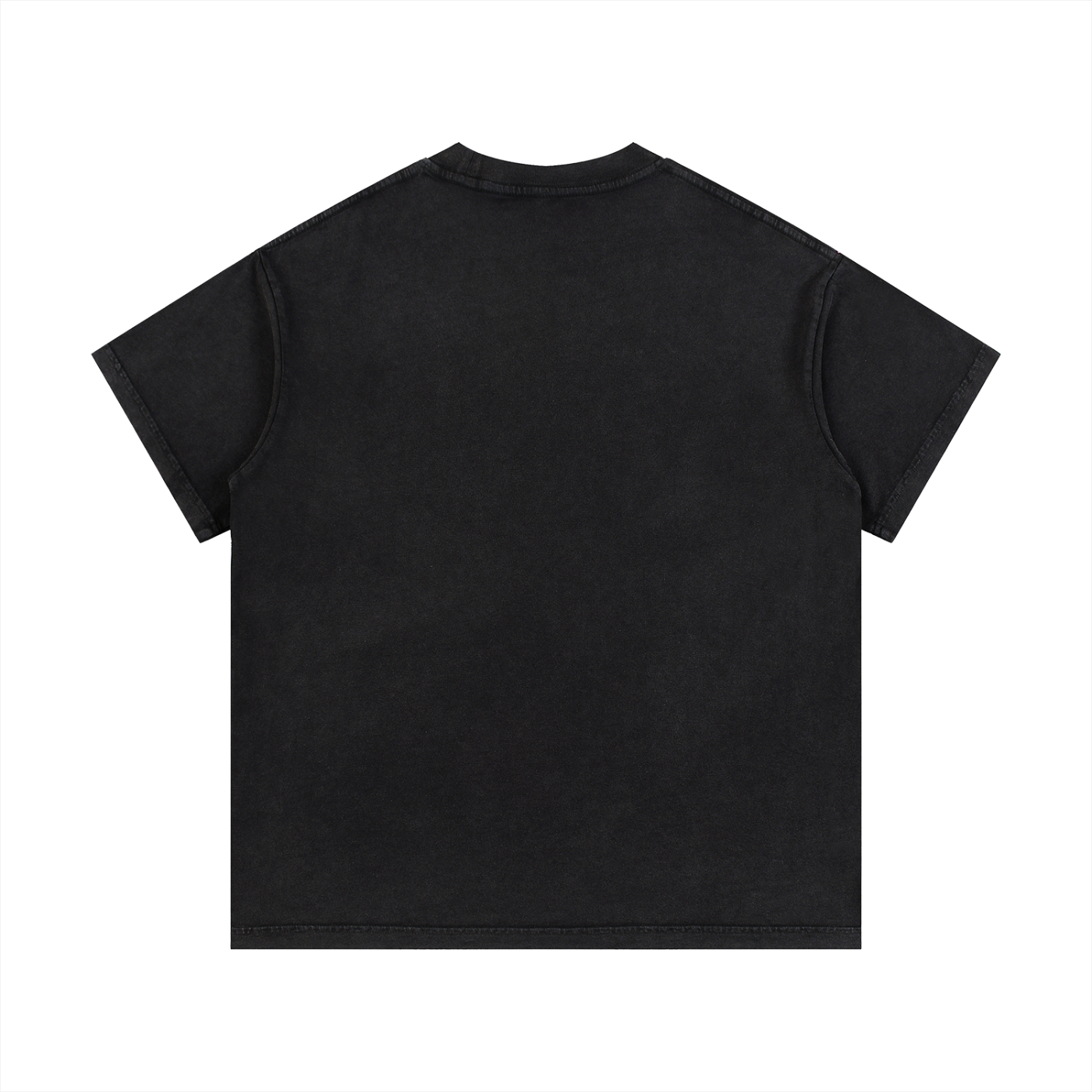 Lucky Fools Washed Graphic T-Shirt